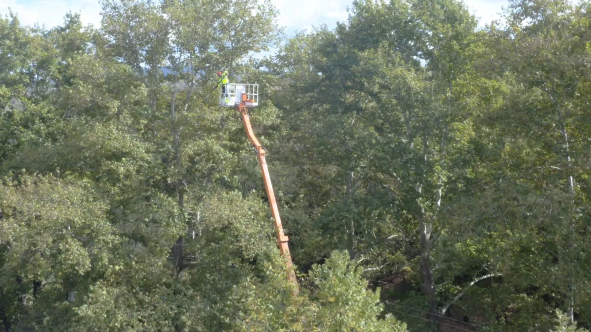 Φωτογραφία 3